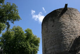 FORTIFICATIONS DE SARREBOURG