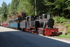 CHEMIN DE FER FORESTIER - WALDEISENBAHN