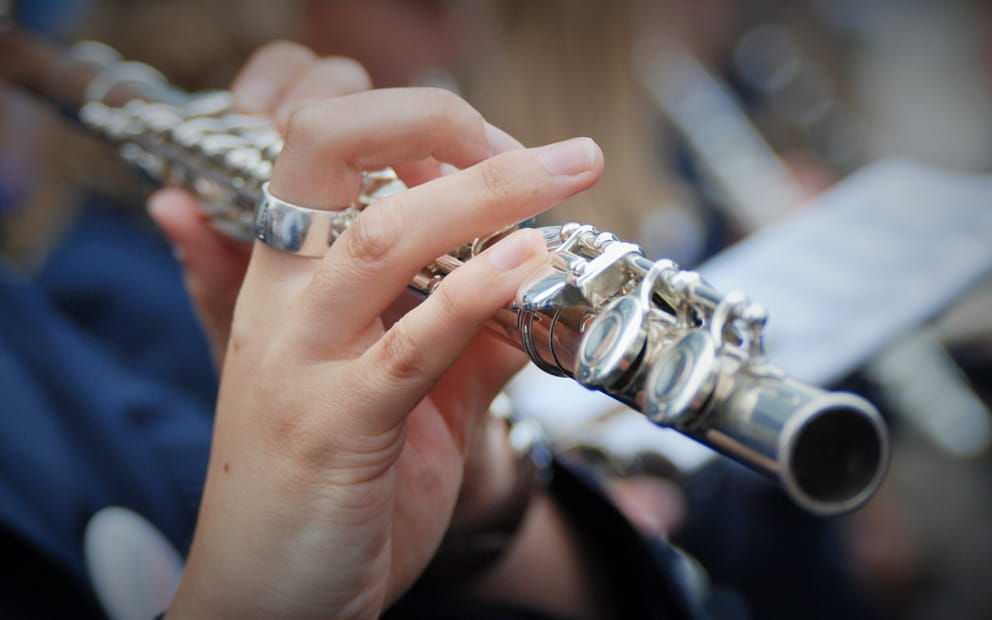 CONCERT DE LA FANFARE LES LIONSSONGS