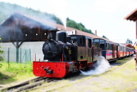 CHEMIN DE FER FORESTIER - WALDEISENBAHN