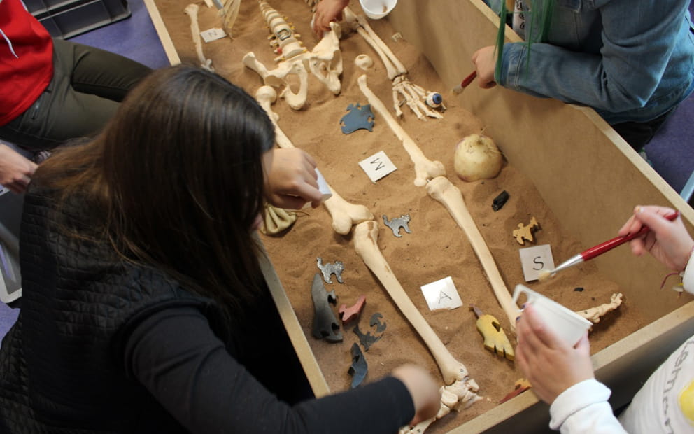 BÊTES & SORCIÈRES : L'ATELIER DU MUSÉE