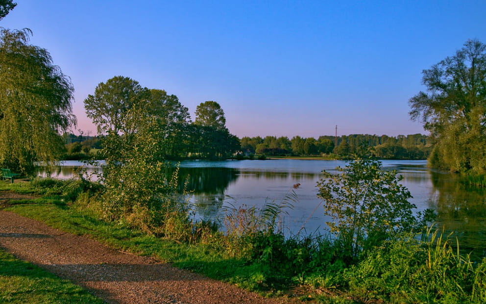 WANDERWEG RÉDING - SARREBOURG