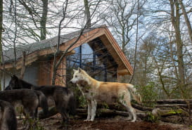 UNUSUAL ACCOMMODATION - YUKON LODGES