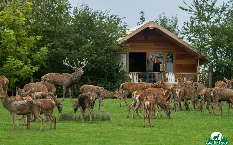 AUßERGEWÖHNLICHE UNTERKUNFT - LODGE DES GRANDS CERFS