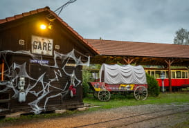 NUIT DE L'HORREUR AU TRAIN FORESTIER