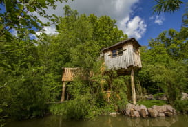 HÉBERGEMENT INSOLITE - CABANE DES LÉMURIENS