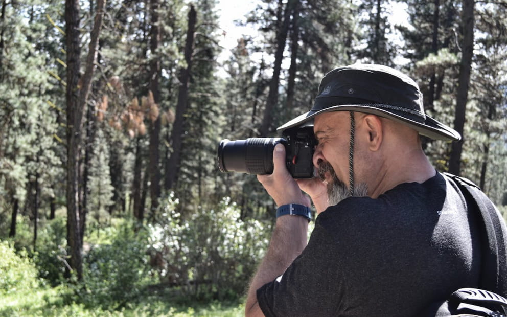 MATINALE DU BRAME DU CERF POUR PHOTOGRAPHES