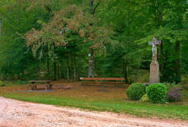 DAS KREUZ VON HENGSTBOURG