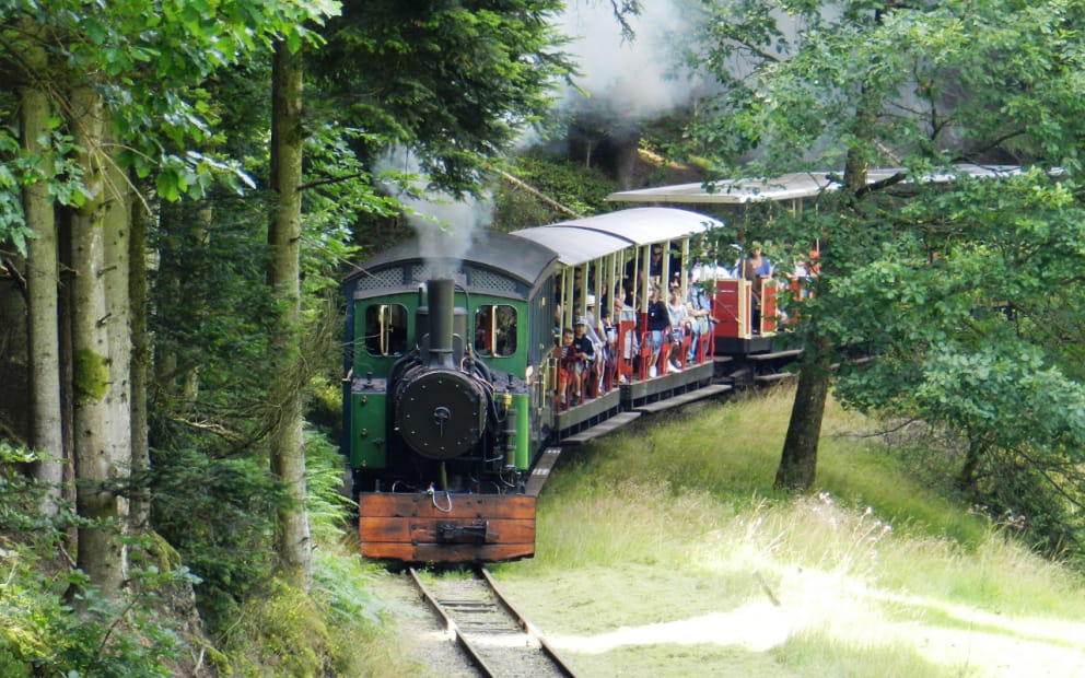 CHEMIN DE FER FORESTIER - WALDEISENBAHN